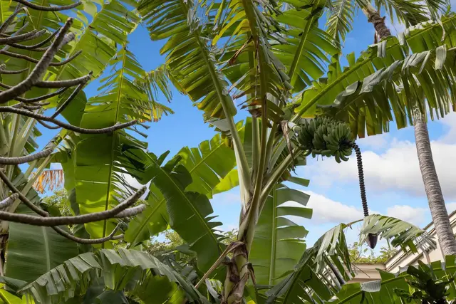 Listing Image for 4440 Lower Honoapiilani Rd 228 36 of 43