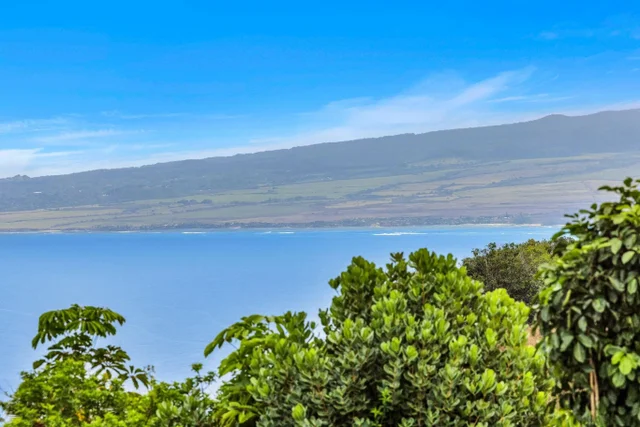 Listing Image for 445 Kaukini Loop 18 of 38