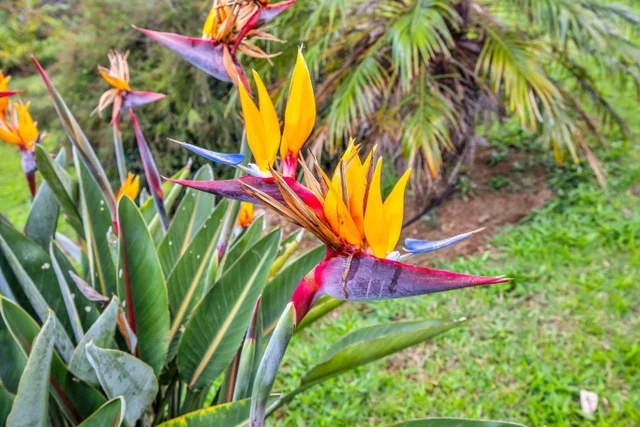 Listing Image for 445 Kaukini Loop 37 of 38