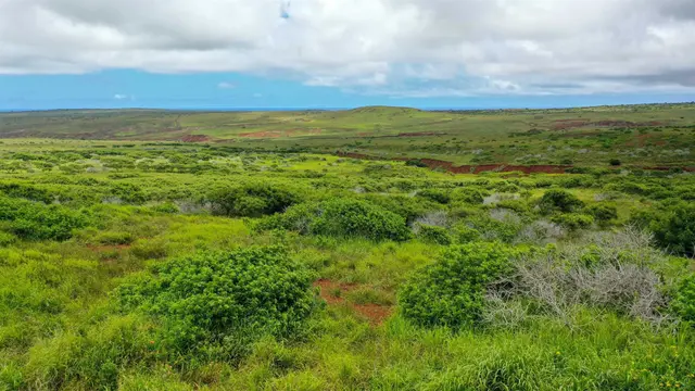 Listing Image for 0 Kalua Koi Rd Lot #55 1 of 17