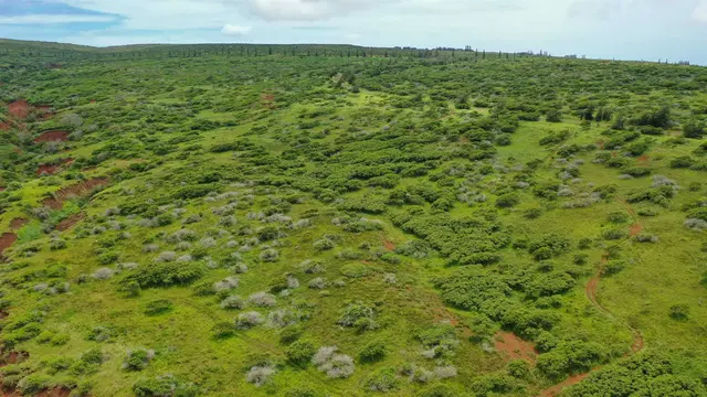 Listing Image for 0 Kalua Koi Rd Lot #55 10 of 17