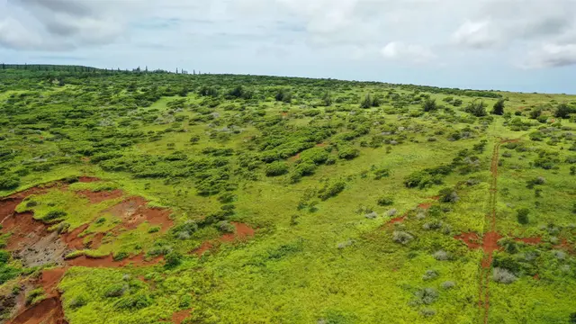 Listing Image for 0 Kalua Koi Rd Lot #55 11 of 17