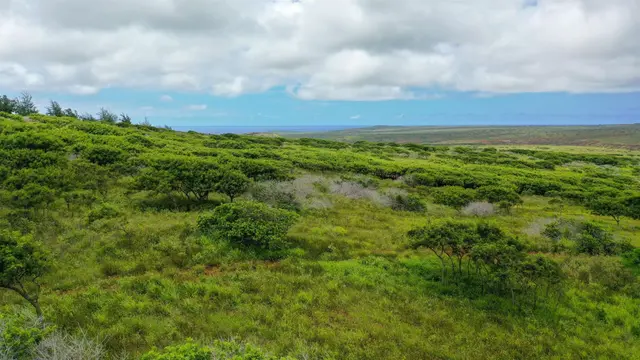 Listing Image for 0 Kalua Koi Rd Lot #55 14 of 17