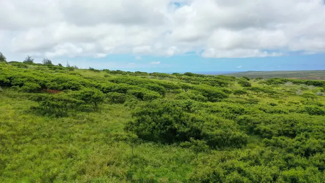 Listing Image for 0 Kalua Koi Rd Lot #55 15 of 17