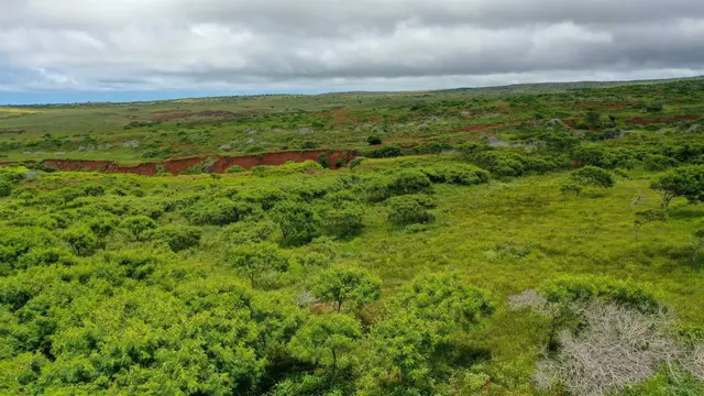 Listing Image for 0 Kalua Koi Rd Lot #55 16 of 17