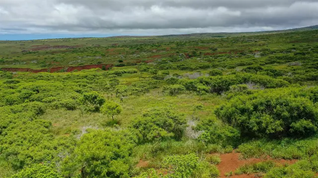 Listing Image for 0 Kalua Koi Rd Lot #55 17 of 17