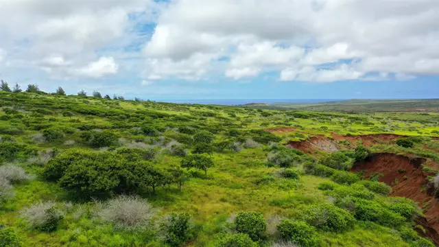 Listing Image for 0 Kalua Koi Rd Lot #55 3 of 17