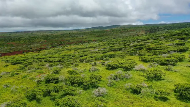Listing Image for 0 Kalua Koi Rd Lot #55 4 of 17