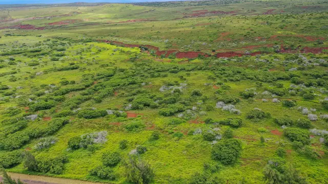 Listing Image for 0 Kalua Koi Rd Lot #55 7 of 17