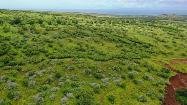 Listing Image for 0 Kalua Koi Rd Lot #55 8 of 17