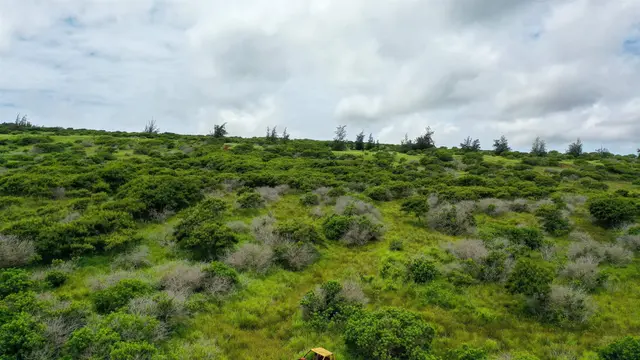 Listing Image for 0 Kalua Koi Rd Lot #55 9 of 17