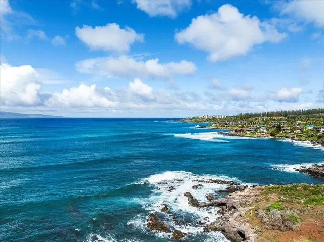 Listing Image for 20 Hui Rd I 25 45 of 50