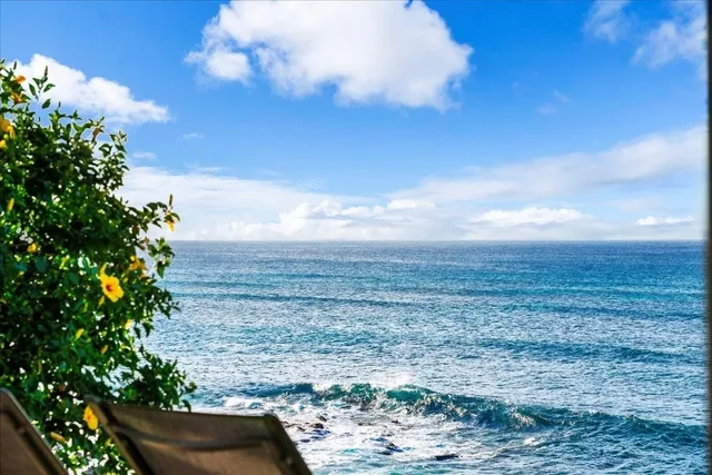 Listing Image for 20 Hui Rd I 25 49 of 50