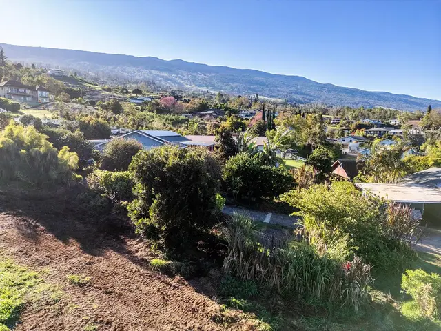 Listing Image for 0 Ainakula Rd Lot 55 10 of 25