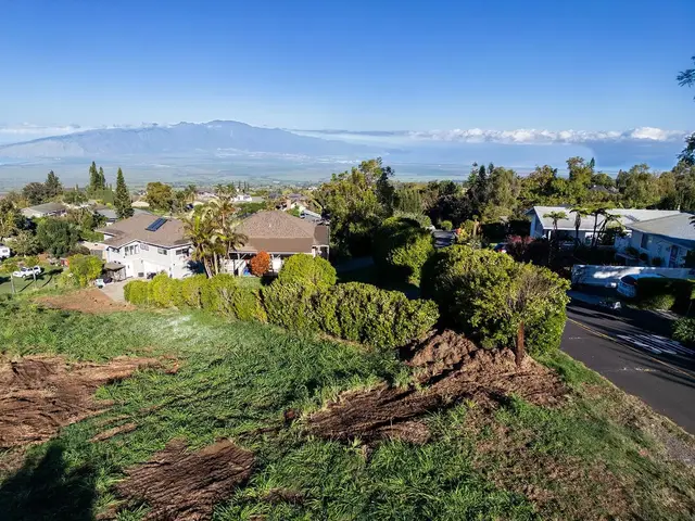 Listing Image for 0 Ainakula Rd Lot 55 11 of 25