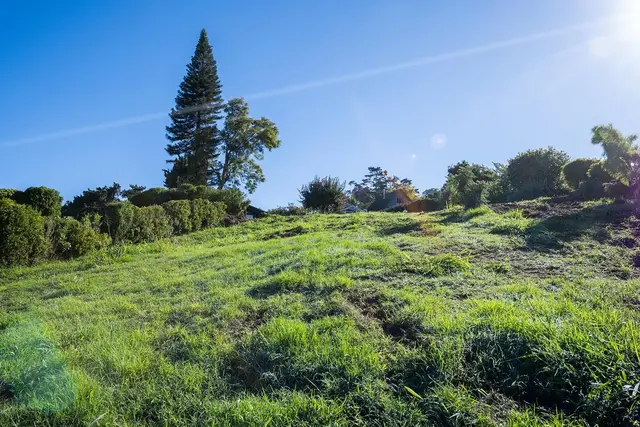 Listing Image for 0 Ainakula Rd Lot 55 15 of 25