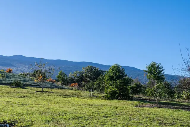 Listing Image for 0 Ainakula Rd Lot 55 16 of 25