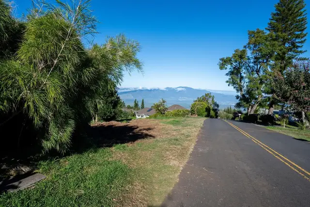 Listing Image for 0 Ainakula Rd Lot 55 21 of 25