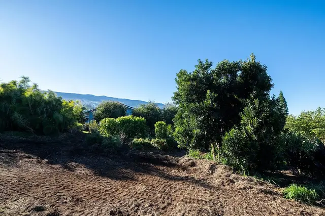 Listing Image for 0 Ainakula Rd Lot 55 9 of 25