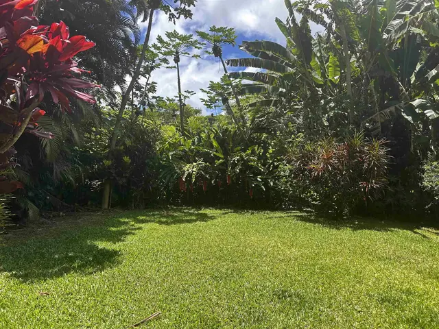 Listing Image for 2901 Hana Hwy 20 of 30