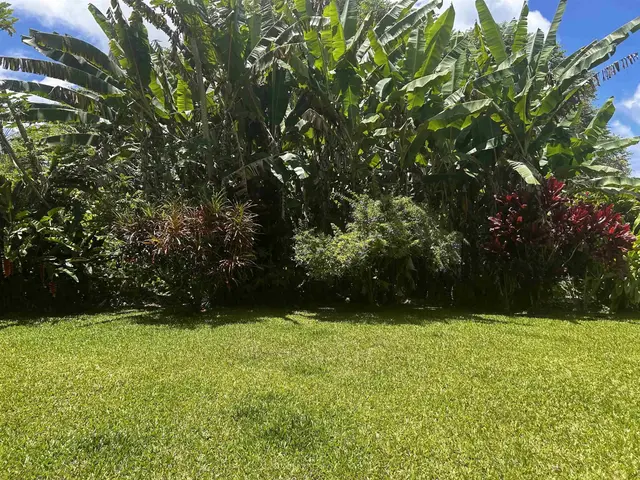 Listing Image for 2901 Hana Hwy 21 of 30