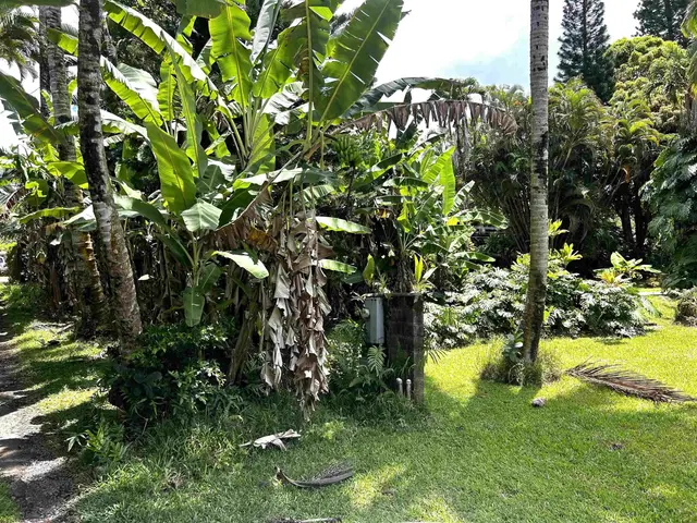 Listing Image for 2901 Hana Hwy 26 of 30