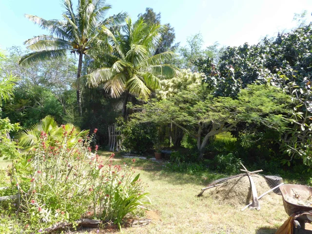 Listing Image for 91 Noho Lio Rd 10 of 27