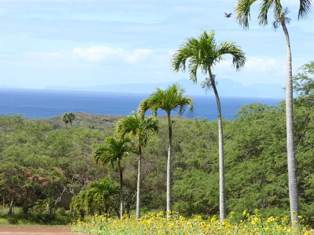 Listing Image for 91 Noho Lio Rd 2 of 27