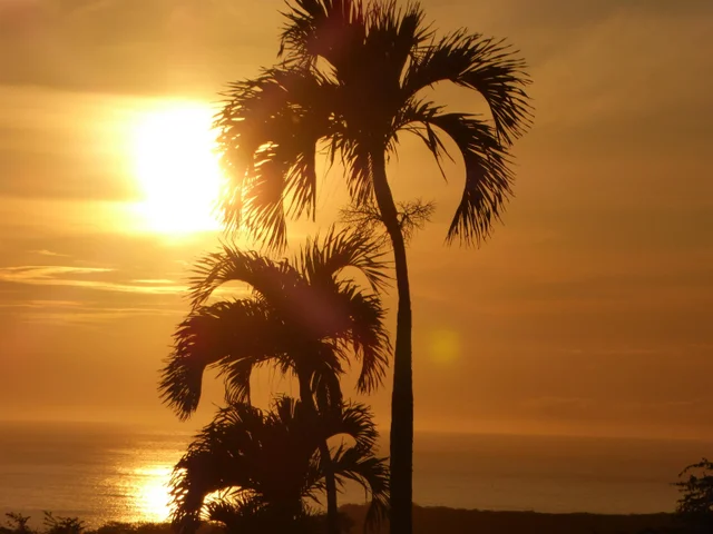 Listing Image for 91 Noho Lio Rd 23 of 27