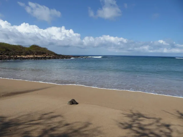 Listing Image for 91 Noho Lio Rd 27 of 27