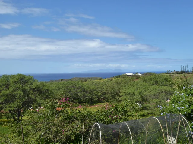 Listing Image for 91 Noho Lio Rd 4 of 27