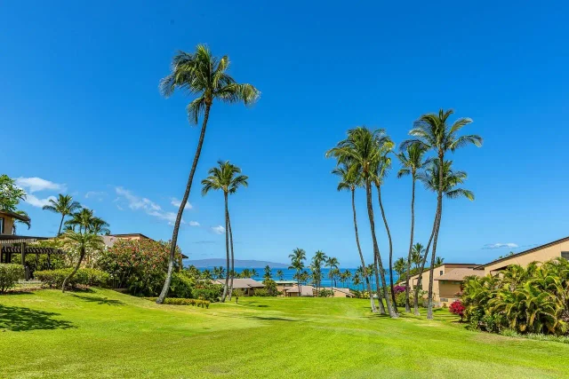 Listing Image for 3300 Wailea Alanui Dr 20d 38 of 50