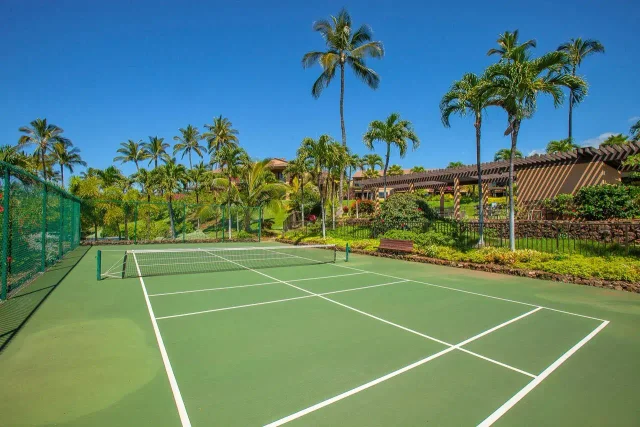 Listing Image for 3300 Wailea Alanui Dr 20d 45 of 50
