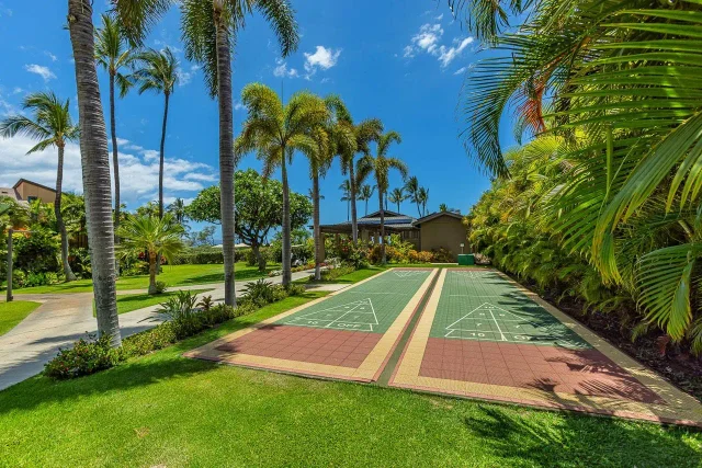 Listing Image for 3300 Wailea Alanui Dr 20d 46 of 50