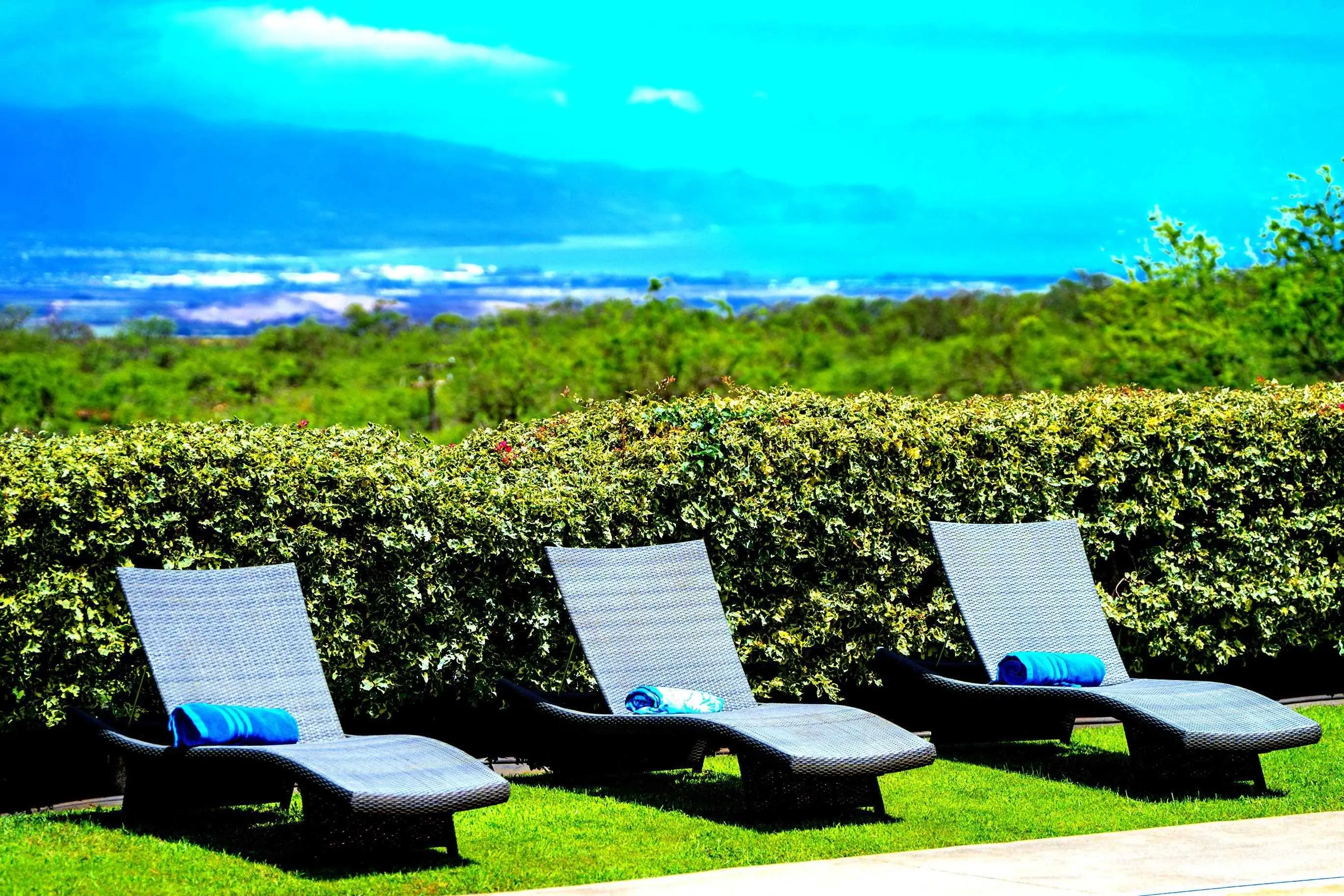 Photo of Listing #404960