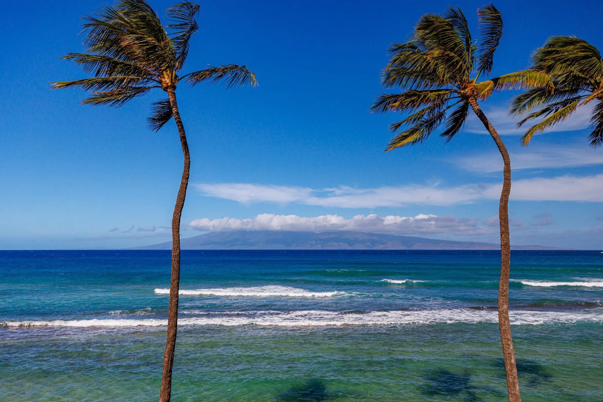 Photo of Listing #408257