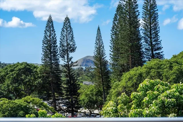 Listing Image for 197 Holokahiki Ln 8a 12 of 27