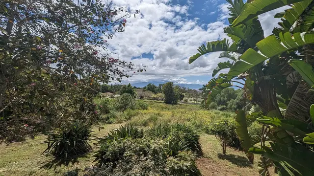 Listing Image for 140 Kahala Pl 21 of 28