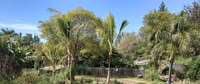 Listing Image for 140 Kahala Pl 24 of 28