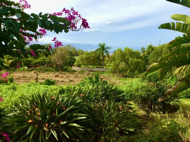 Listing Image for 140 Kahala Pl 26 of 28