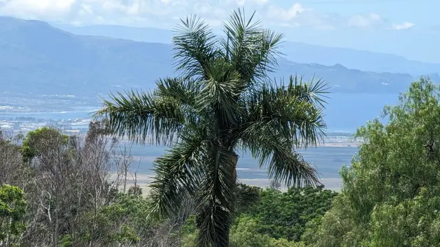 Listing Image for 140 Kahala Pl 8 of 28