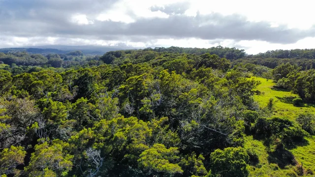 Listing Image for Lupi Rd 13 of 18