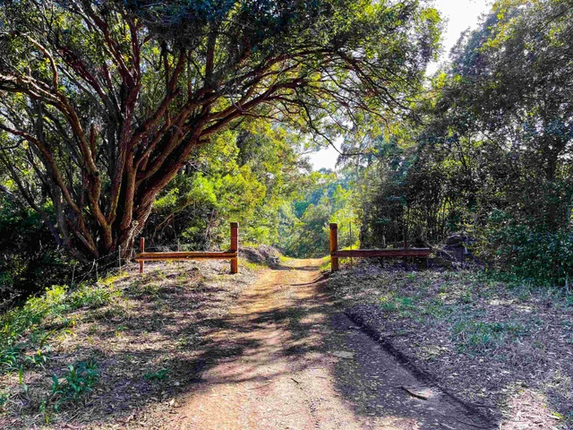 Listing Image for Lupi Rd 7 of 18