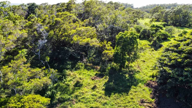 Listing Image for Lupi Rd 9 of 18