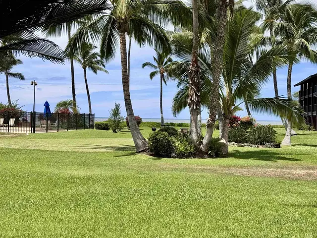 Listing Image for 1000 Kamehameha V Hwy 119b 1 of 28
