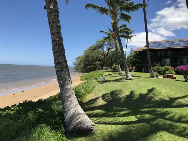 Listing Image for 1000 Kamehameha V Hwy 119b 19 of 28