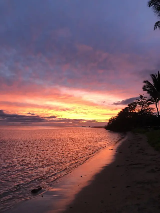 Listing Image for 1000 Kamehameha V Hwy 119b 25 of 28