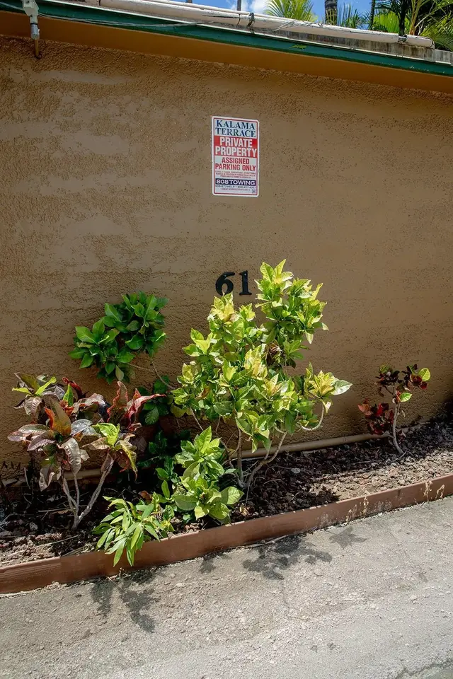Listing Image for 35 Walaka St L-102 5 of 31