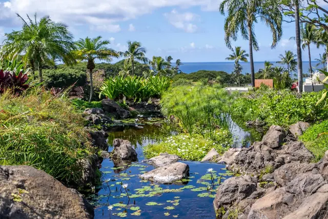 Listing Image for 3200 Wailea Alanui Dr 1101 40 of 43