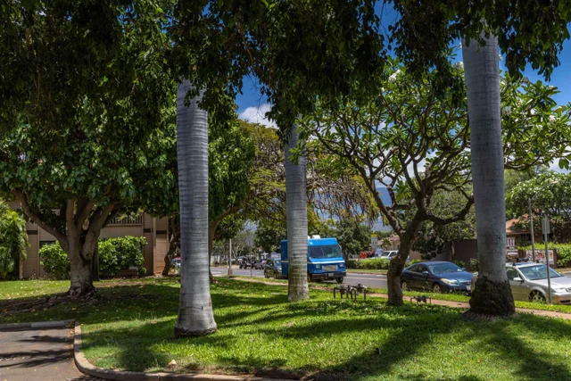 Listing Image for 15 Kulanihakoi St 19h 31 of 49